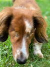 Tucker2