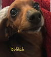 Delilah