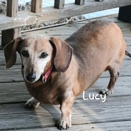 Lucy5