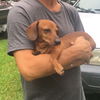 Tucker3