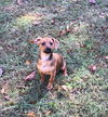 Sunnie
