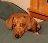 Rufus3