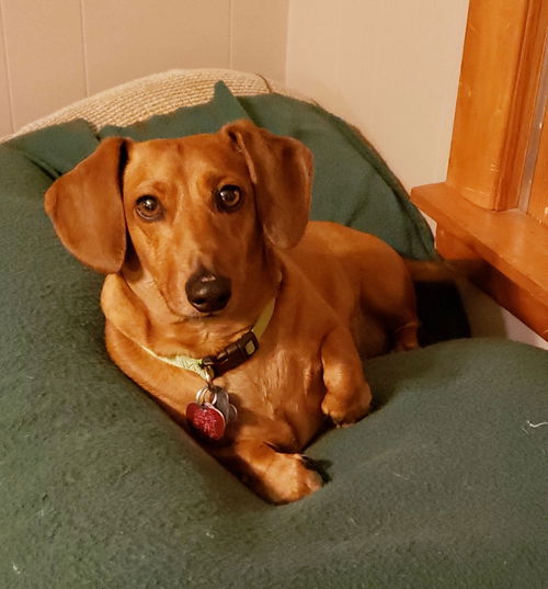 Rufus3