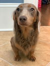 Toby3