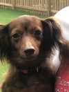 Sammy