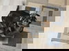 Roscoe2