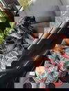 Roscoe2