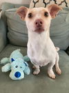 Buddy12