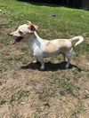 Buddy12