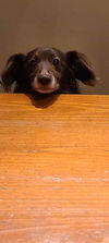 Timmy