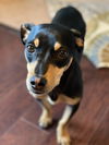 Benny