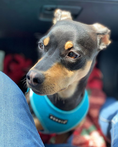 Benny