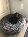 Roxie3