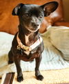 Bailey7
