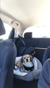 Charley2
