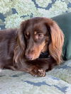 Regina (Bonded with Gretchen2)