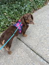 Regina (Bonded with Gretchen2)