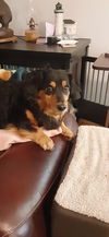 Rocko