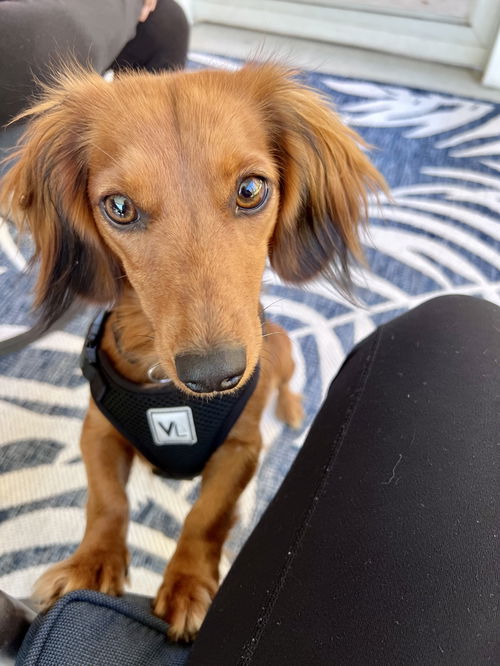 Millie