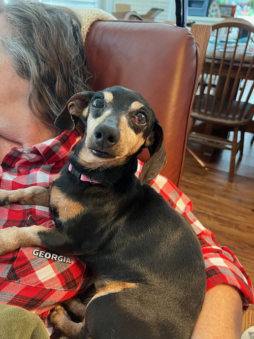 Molly4 (Bonded with Bubba)