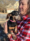 Molly4 (Bonded with Bubba)