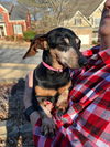 Molly4 (Bonded with Bubba)