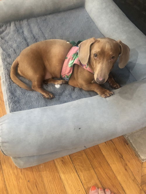 Sophie
