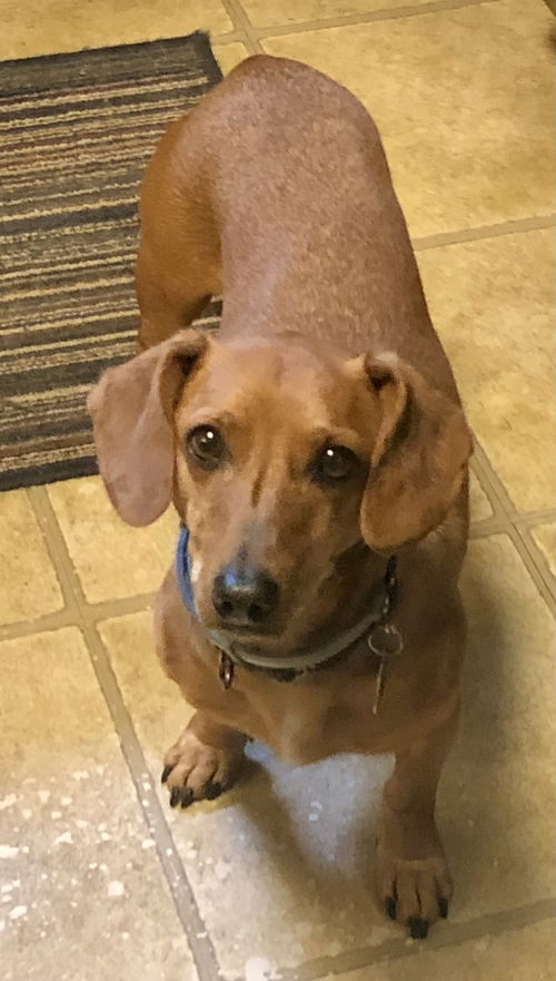 Riley2