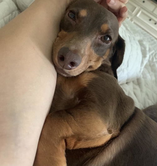 Roux