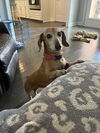 Riley3