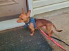 Cody5