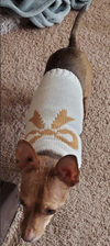 Coco8 - Photo 4