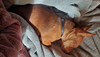 Coco8 - Photo 7