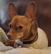 Coco8 - Photo 2