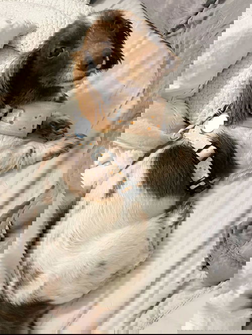 Sophie5