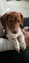 Charlie12