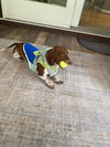 Charlie12
