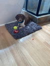 Charlie12