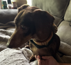 Charlie14