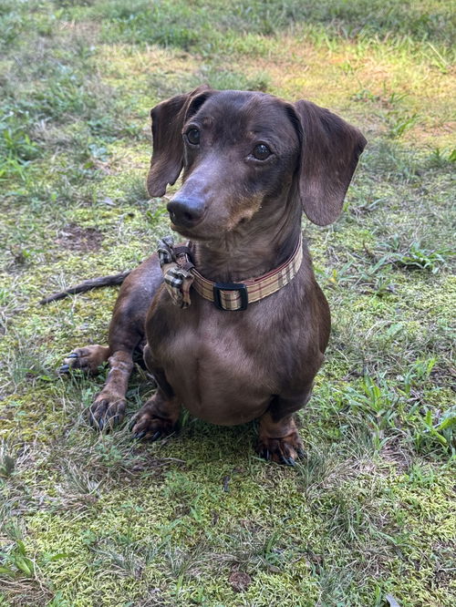 Charlie14