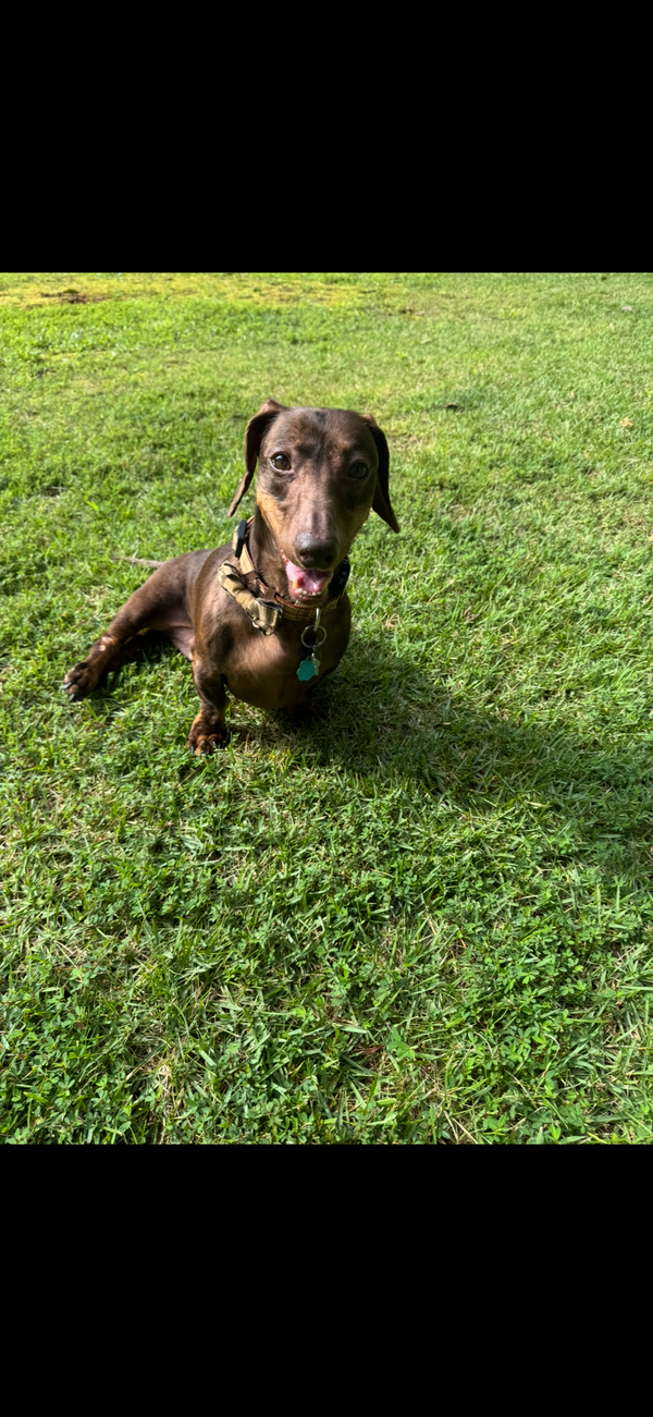 Charlie14