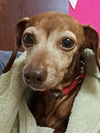 Penny Lane2