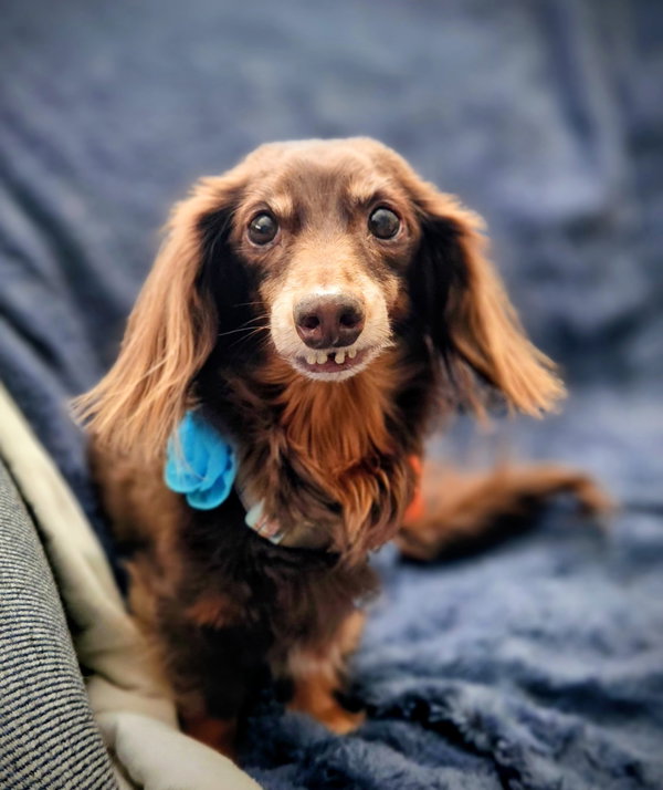 Coco9