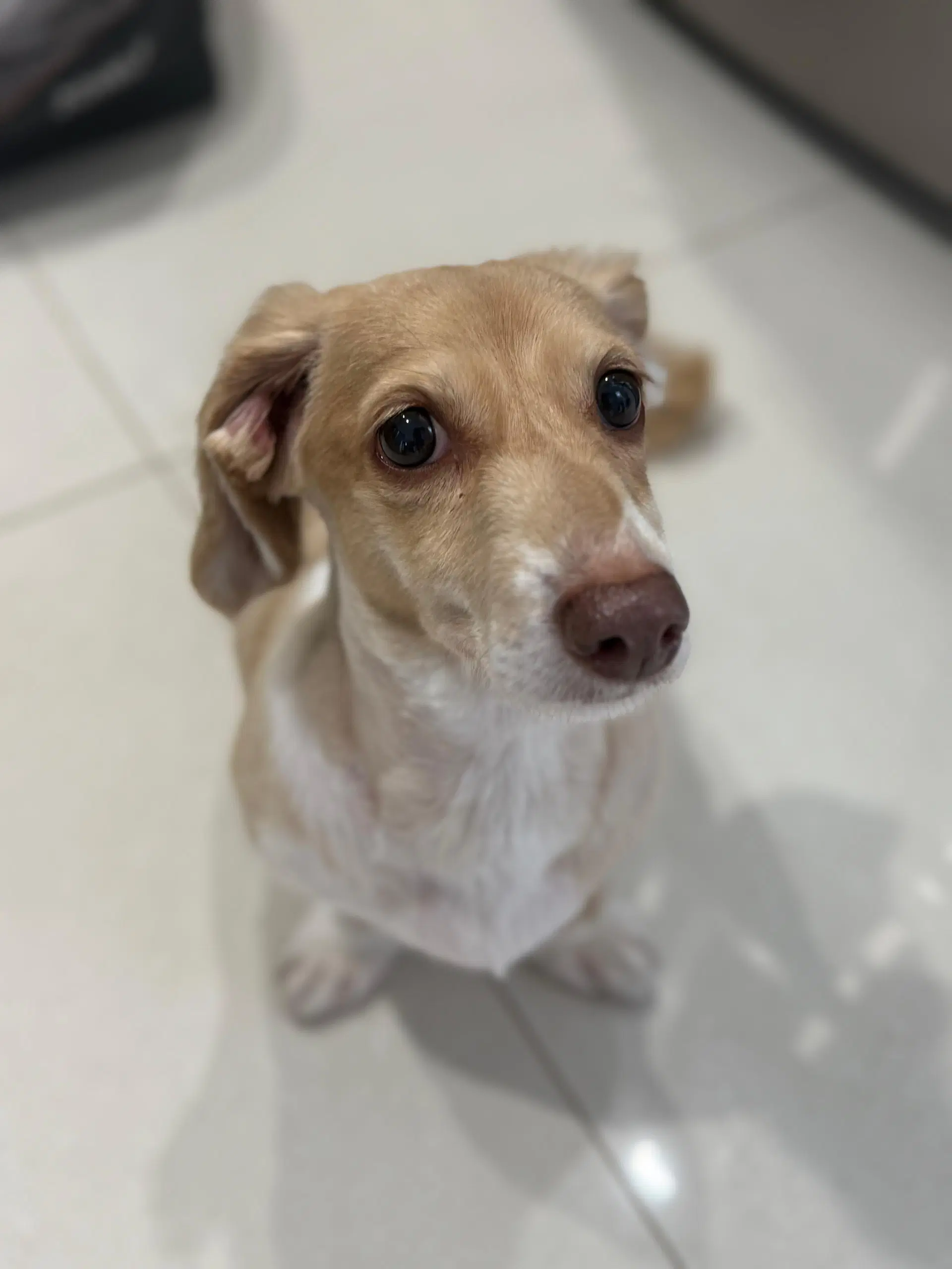 Marli image 3