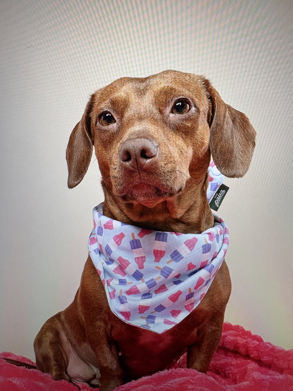 Lili (Bonded with Lulu8)