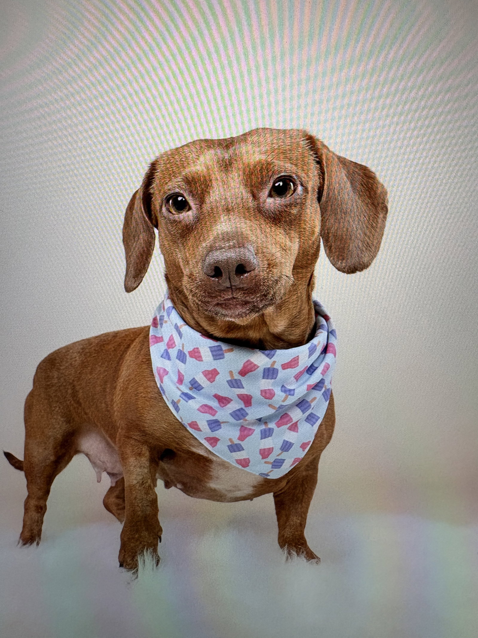 Lili (Bonded with Lulu8)