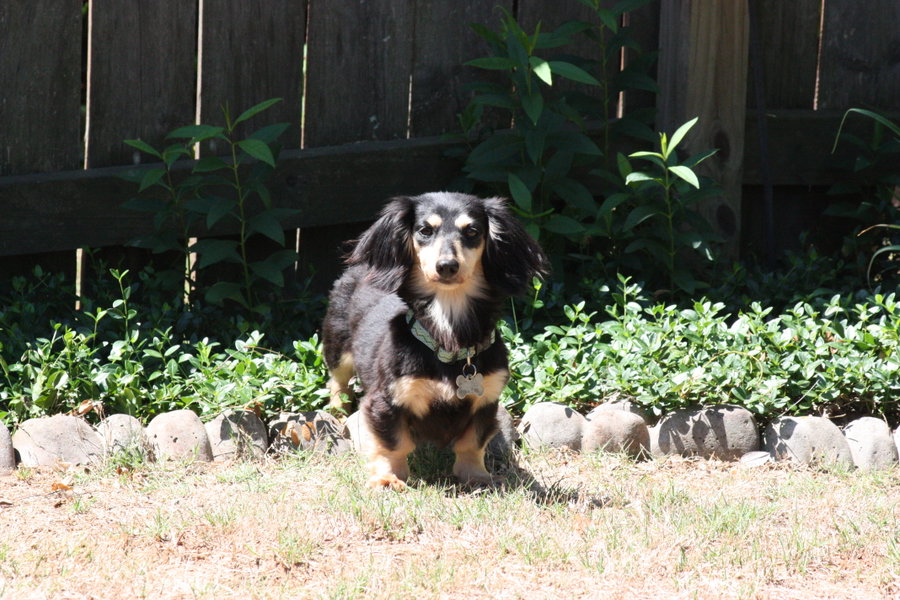 Nutmeg2 (located in Cumming, GA)