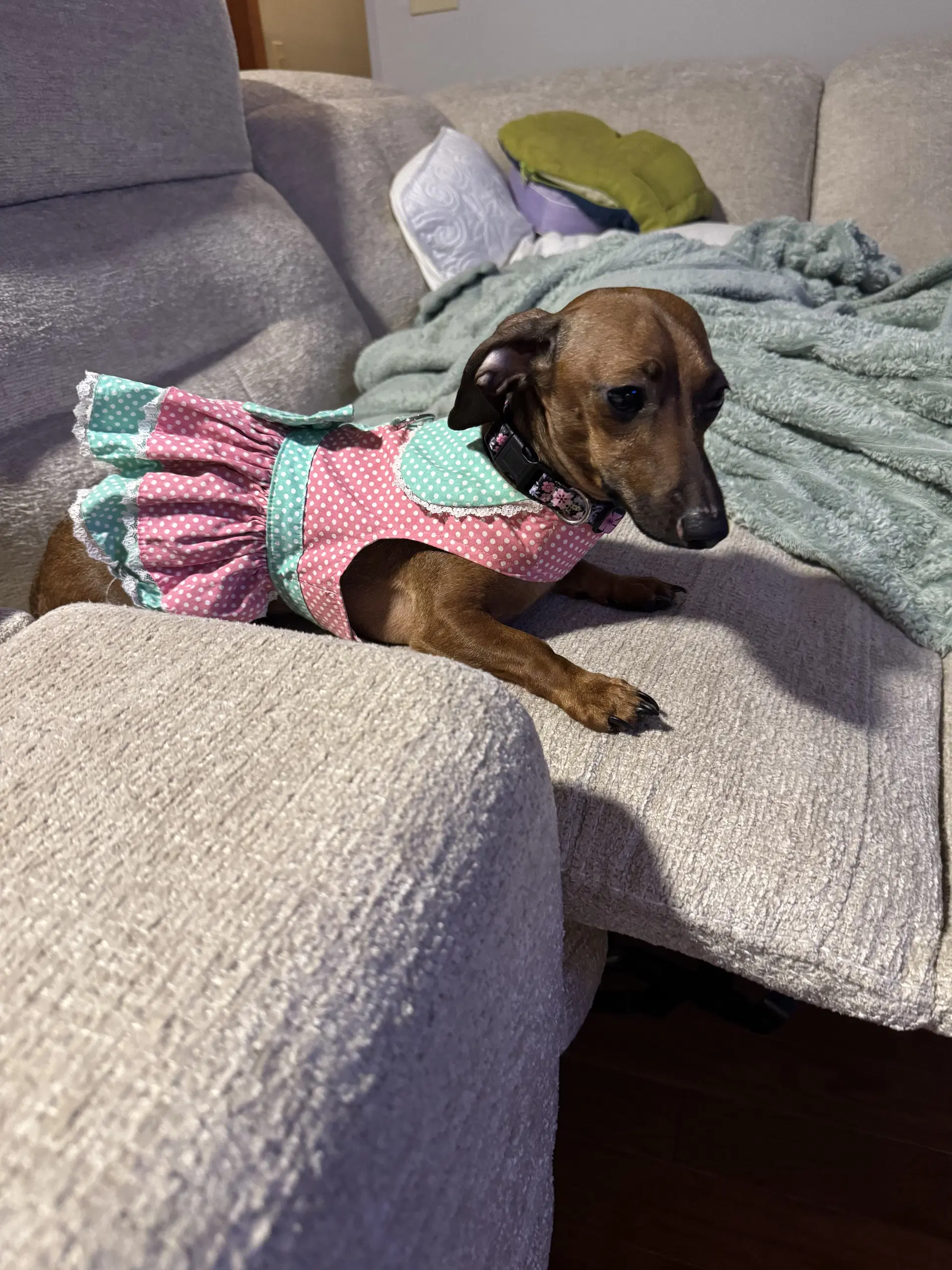Libby image 3