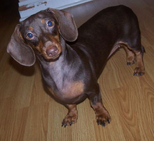 Ellie