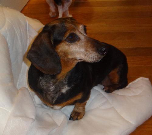 Trudie